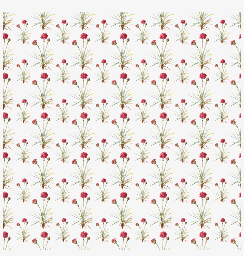 Digital Paper Overlay - Sierpinski Carpet, transparent png #492259