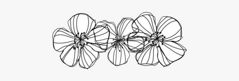 Flowers, Overlay, And Transparent Image - Transparent Black And White Flowers Tumblr Png, transparent png #492717