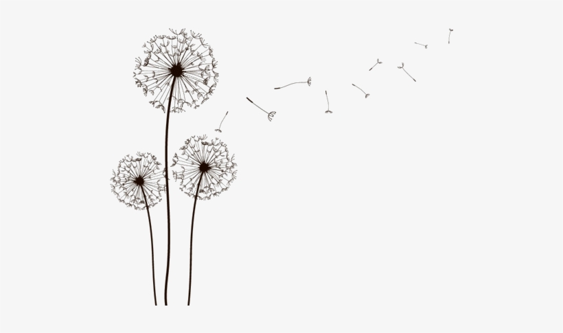 Blowing Dandelion Png - Dandelion Clip Art Transparent Background, transparent png #494053