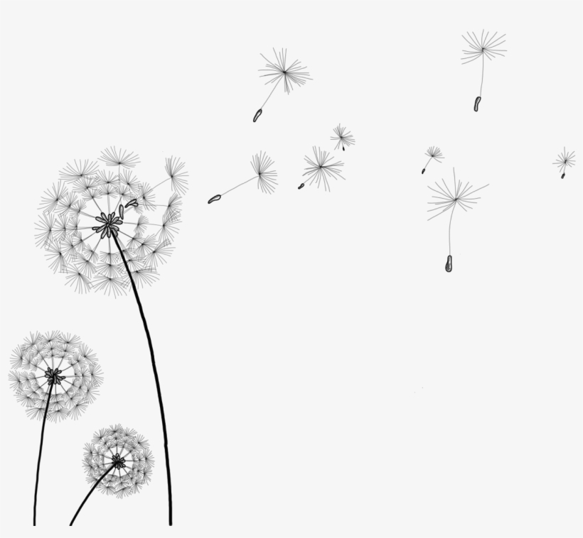 Information Clip Art Transprent - Transparent Background Dandelion Gif, transparent png #494058