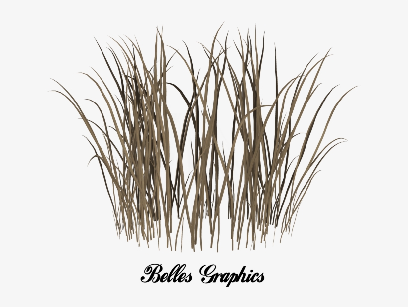 Dead Grass Png - Beige Falling In Love, transparent png #494118