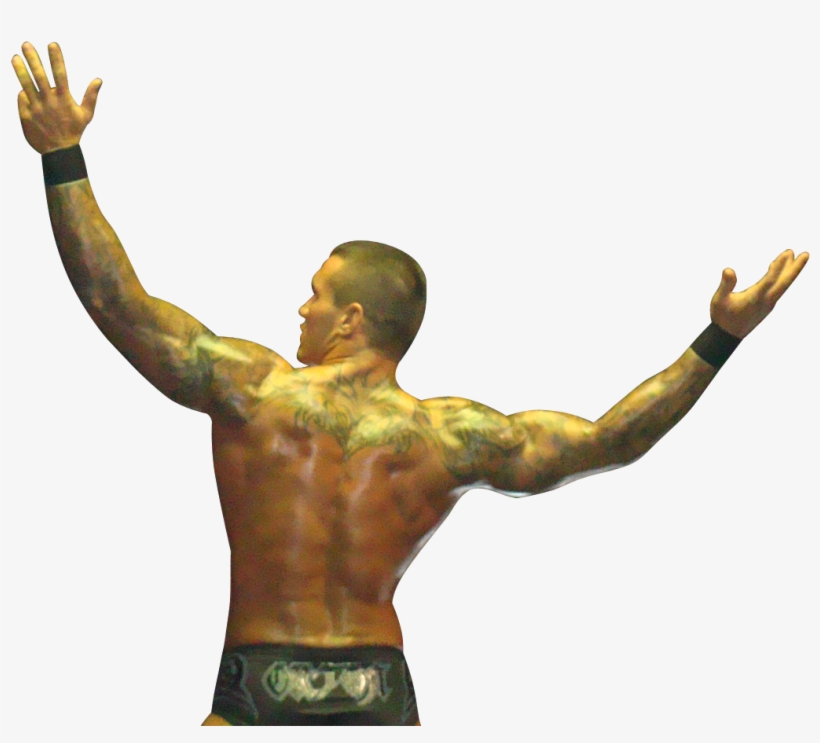 Randy Orton 2014 Png Download - Back Pictures Of Randy Orton, transparent png #494520