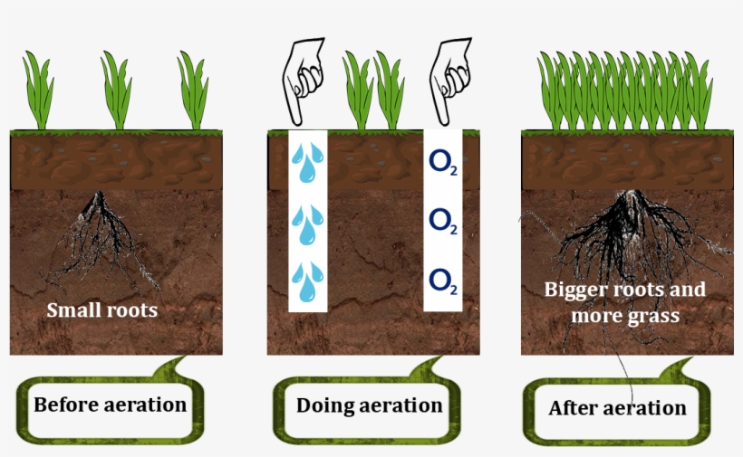 How Lawn Aerator Works - Lawn Aerator, transparent png #494705