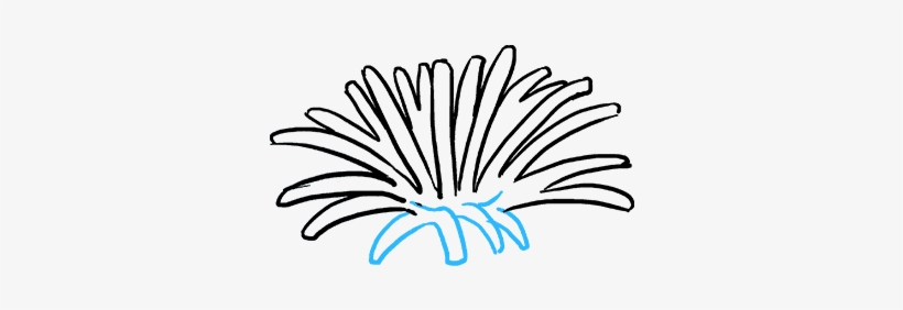 How To Draw Dandelion, transparent png #494727
