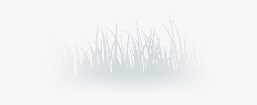 Lawn Care Services - Grass, transparent png #494766