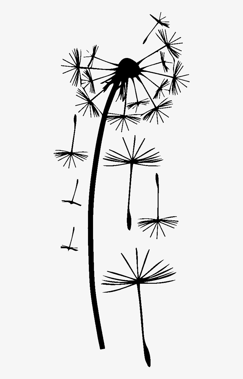 Sticker Pissenlit 15 Swarovski Crystal 3mm Ambiance - Monochrome, transparent png #495626