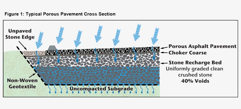 Porous Pavement Systems Are Rapidly Gaining Favor With - Ribs, transparent png #496394