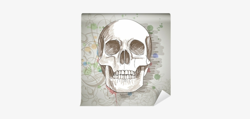 Skull Sketch - Iflight Country Skull - Slim, transparent png #497218