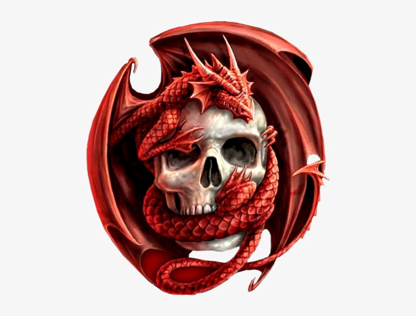 Dragon Skulls - De Dragões Para Papel De Parede, transparent png #497549