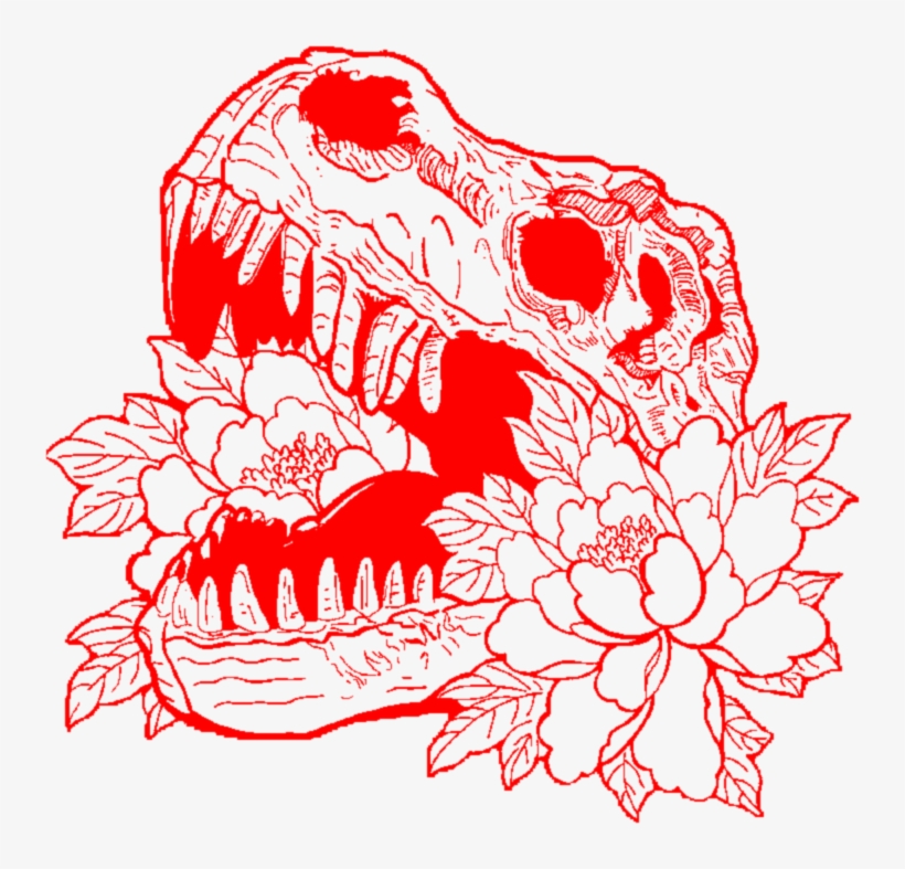 Aesthetic Red Skull Skeleton Flower Flowers Rose Roses - Aesthetic Skull Png, transparent png #497799