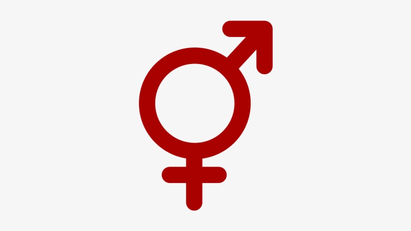 Http - //upload - Wikimedia - Symbol - Svg/300px-hermaphrodite - Gender Equality, transparent png #498174