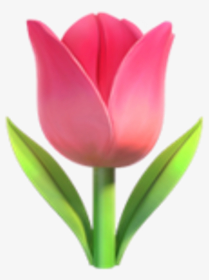 Tulip Emoji, transparent png #498480