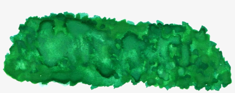 Free Download - Chlorophyta, transparent png #498845