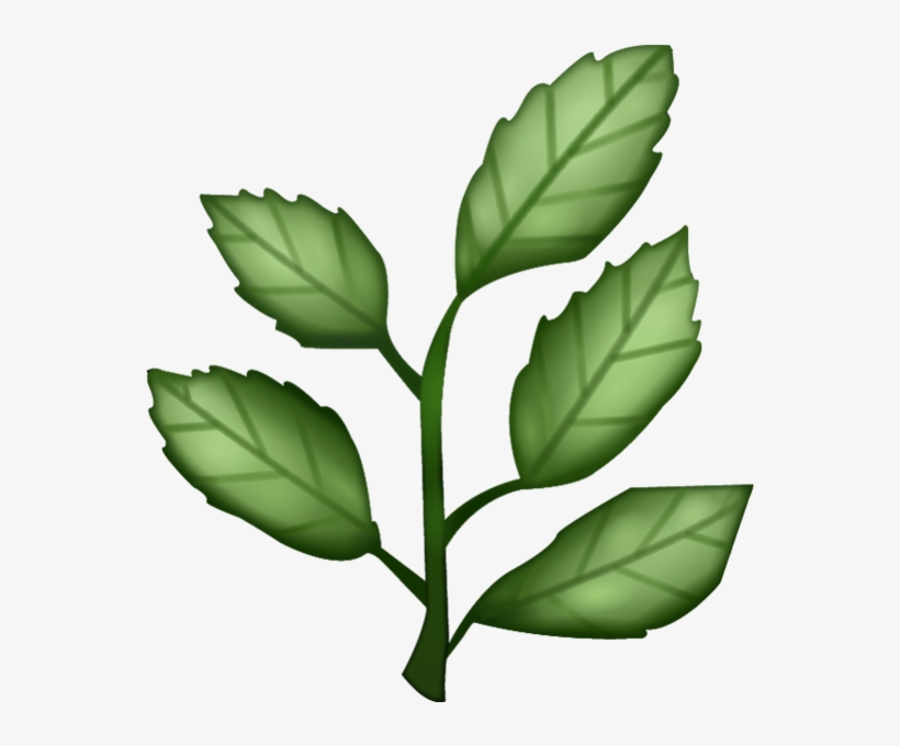 Download Herb Emoji Image In Png - Herb Emoji, transparent png #498906