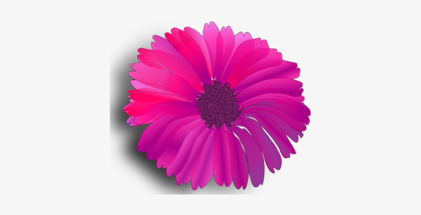 Pink Flowers Rose Fuchsia Download - Pink Flower Clip Art, transparent png #498936