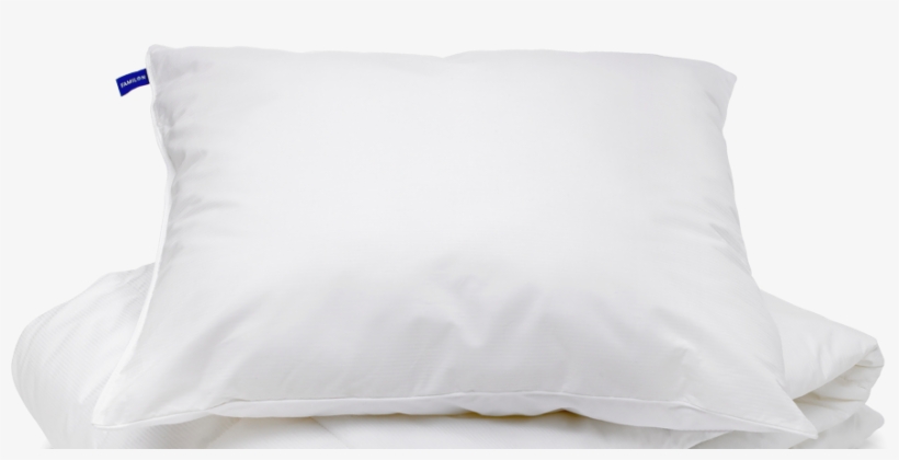 Throw Pillow, transparent png #499211