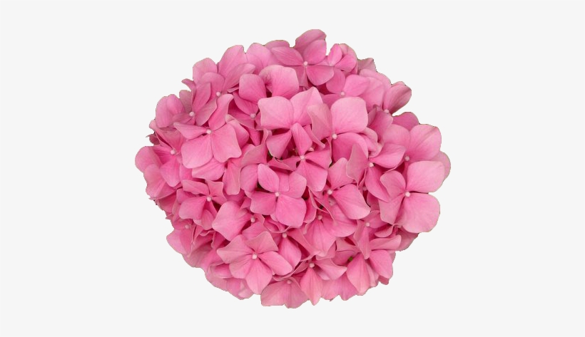 Coolest Transparent Flower Background Transparent Flowers - Bunch Of Pink Flowers Png, transparent png #499431