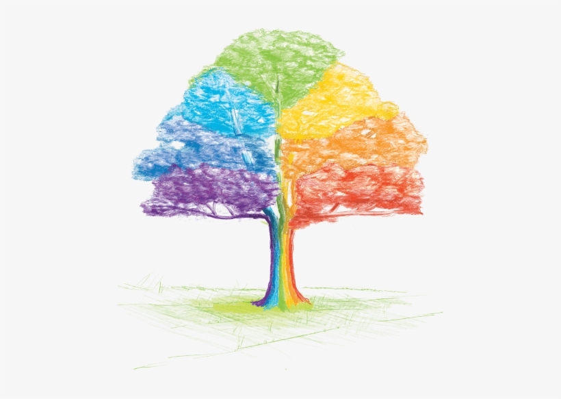 Arbol - Arbol De Cooperativa Png, transparent png #499674
