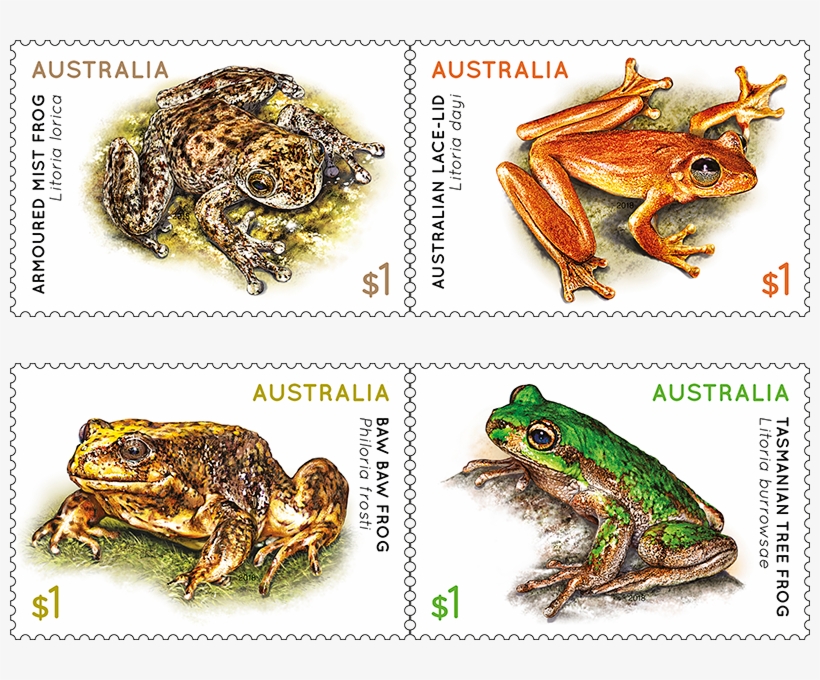 Set Of Frogs Gummed Stamps, transparent png #4902079