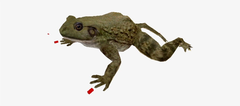 13987 - Bufo, transparent png #4902238