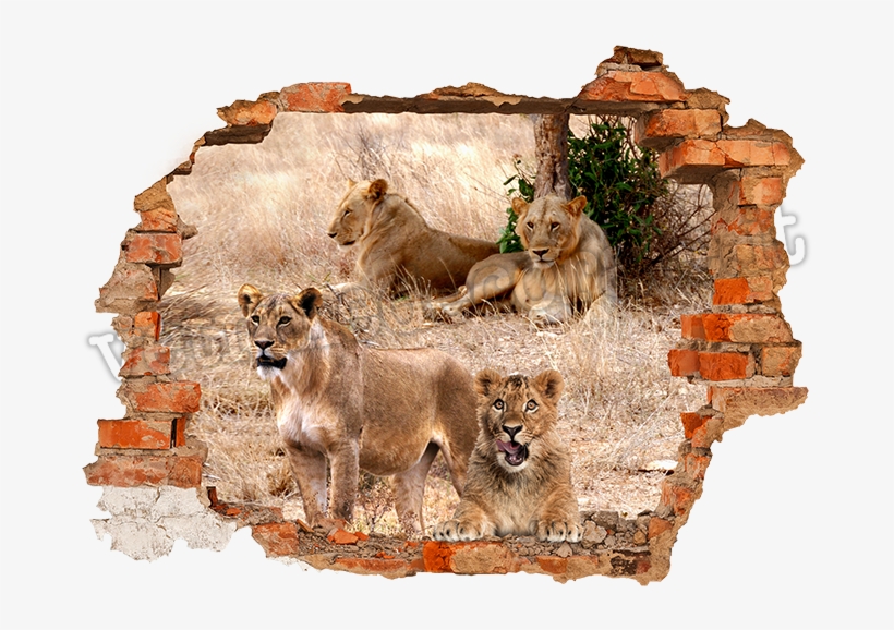 Wall Hole Png Graphic Download - Adhesive 3d 125 Cm X 100 Cm Panther, transparent png #4902316