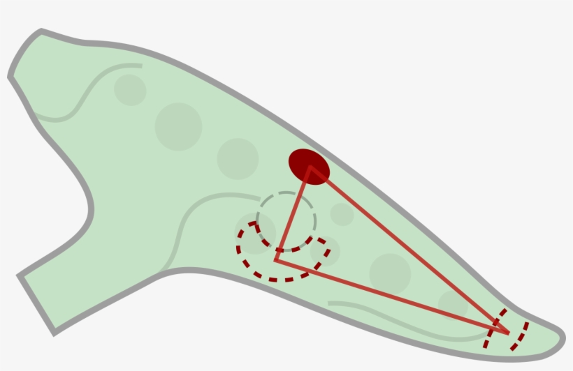 This Roll Off Is Achieved By Bending The Thumb In Its, transparent png #4902372