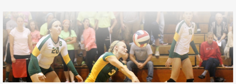 Interior Faculty Hero 1 - Volleyball, transparent png #4902431