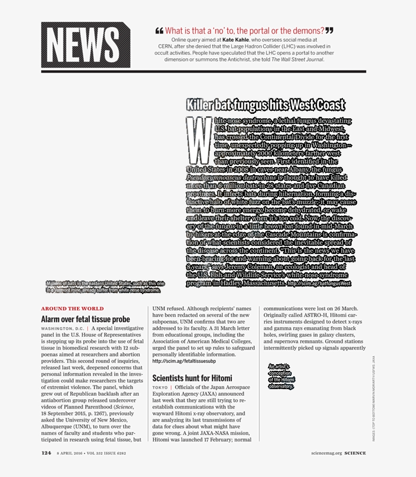 Document, transparent png #4902750