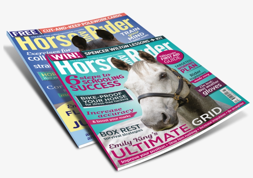 Subscribe Today From Anywhere In The World - Equestrianism, transparent png #4904729