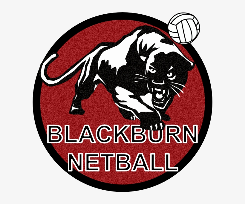 If You Are Interested In Receiving Our Informative - Volleyball Smile Young T-shirt, transparent png #4904842