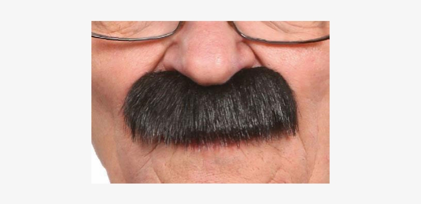 1 Moustache Épaisse Noire - Grandpa's Black Lustrous Mustache (007-se), transparent png #4905338