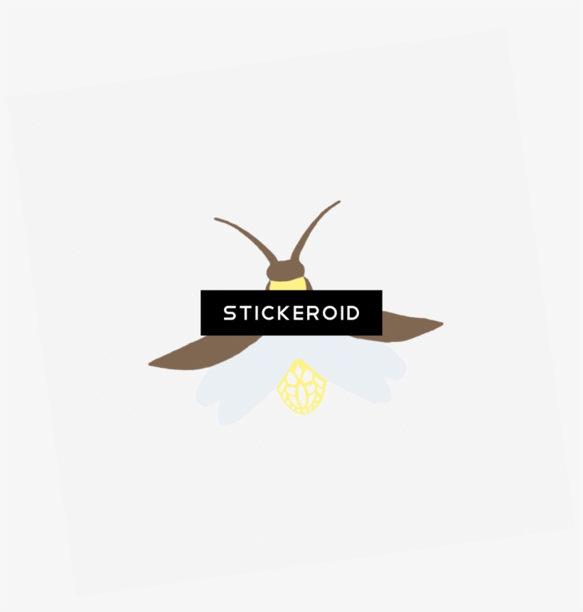 Firefly - Illustration, transparent png #4905700