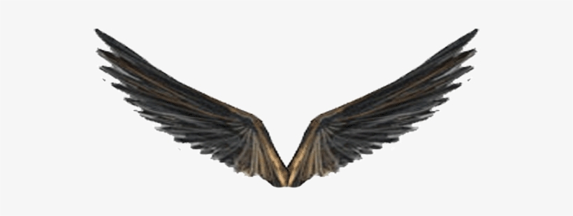 Wartune 5th Anniversary Event - Golden Eagle, transparent png #4908276