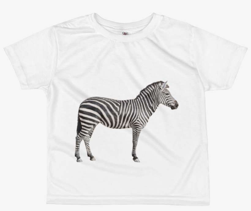 Zebra Print All Over Kids Sublimation T Shirt - Pattern Scavenger Hunt By Kerry Dinmont, transparent png #4909357