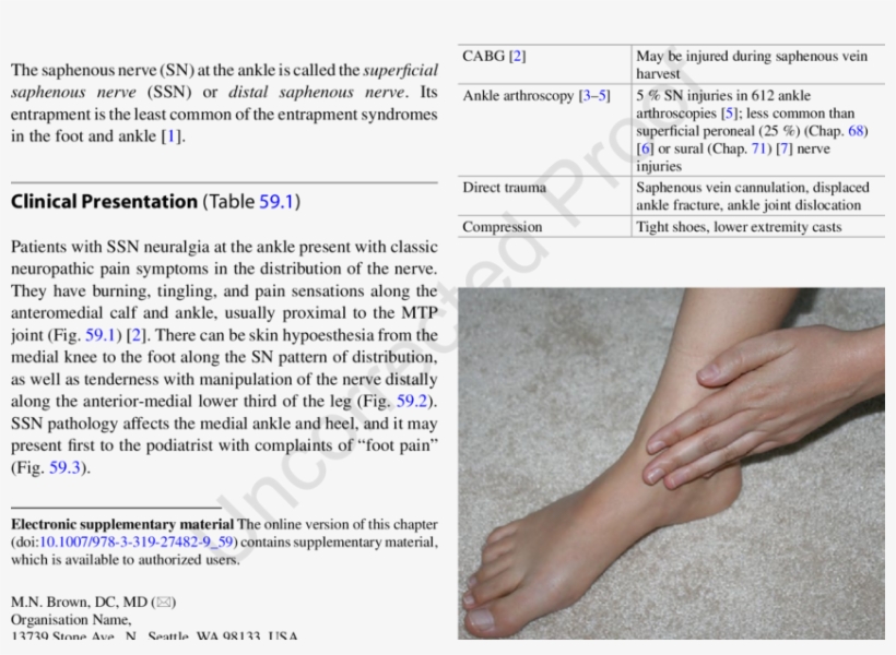 1 Patient's Pain Complaint From Distal Saphenous Nerve - Saphenous Nerve Pain Ankle, transparent png #4912774