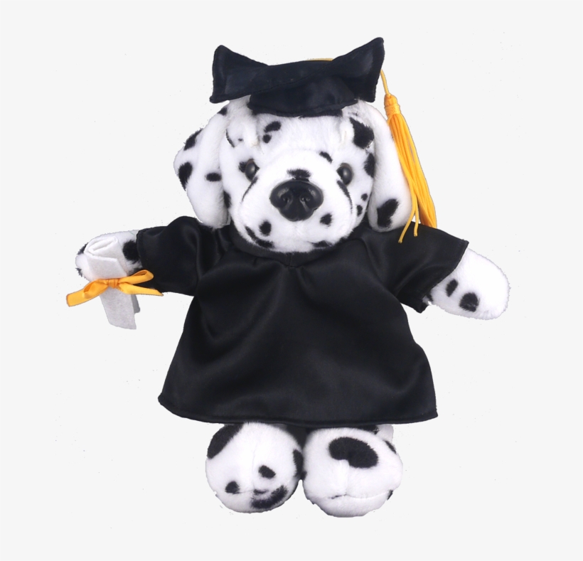 Dalmatian - Soft Plush Dalmatian In Graduation Cap & Gown Stuffed, transparent png #4913136
