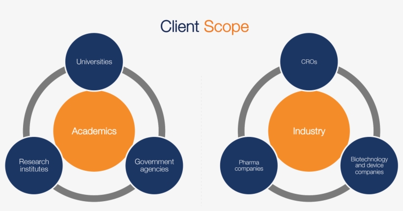 Client Scope Dacima Software - Diagram Ways To Tell A Story, transparent png #4914212