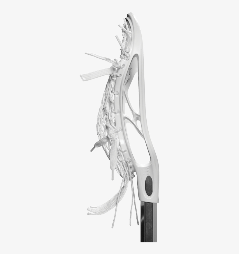 If It Wasn't Called The Evo, What Were Some Other Names - Illustration, transparent png #4914623