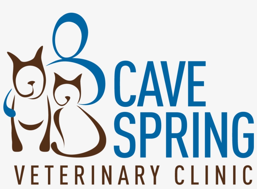 Cave Spring Veterinary Clinic Free Transparent PNG Download PNGkey