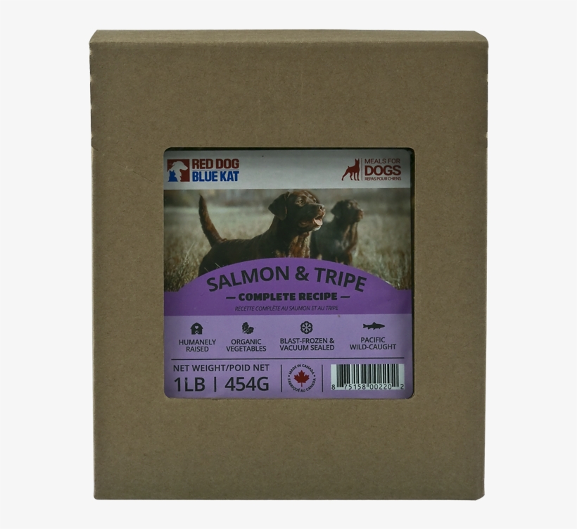 Salmon & Tripe Complete For Dogs - Dog, transparent png #4916734