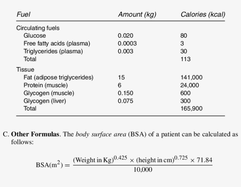 Normal Fuel Composition Of The Human Body, transparent png #4916815
