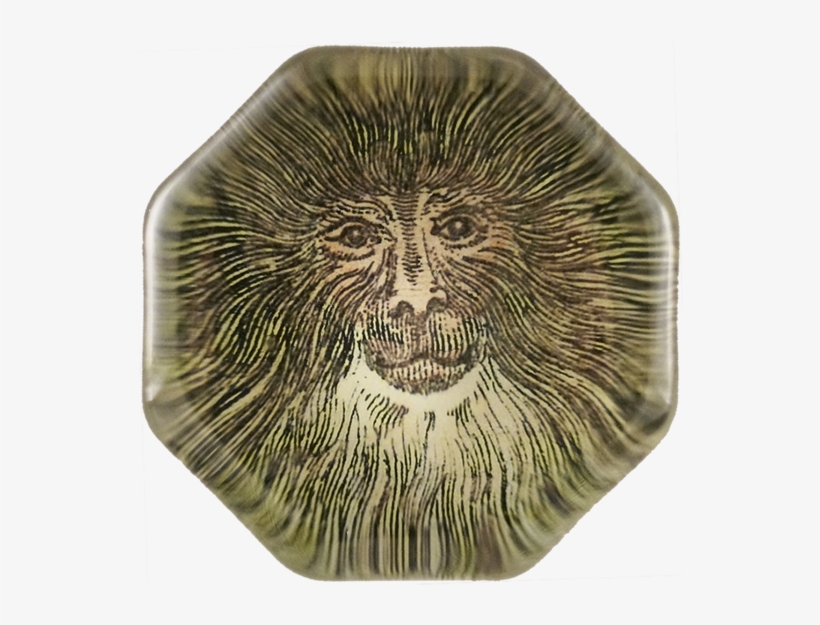 Lion Head Roar Png, transparent png #4917030