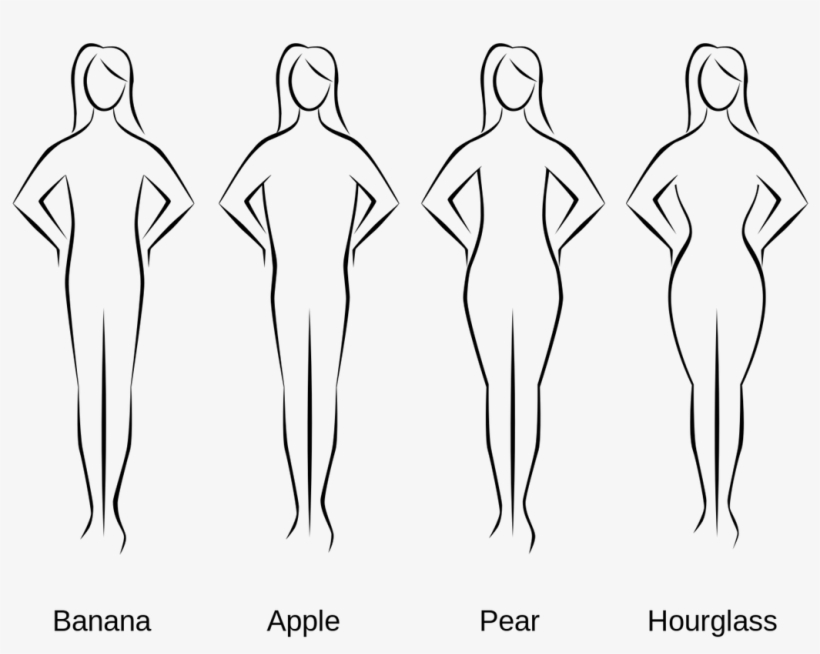 Lipofilling - Different Types Of Body Curves, transparent png #4917279