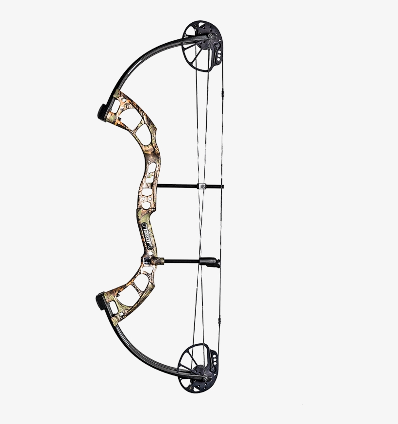 Another Ultra-adjustable Bow, The Cruzer Can Go From - Bear Cruzer Rth, transparent png #4917354