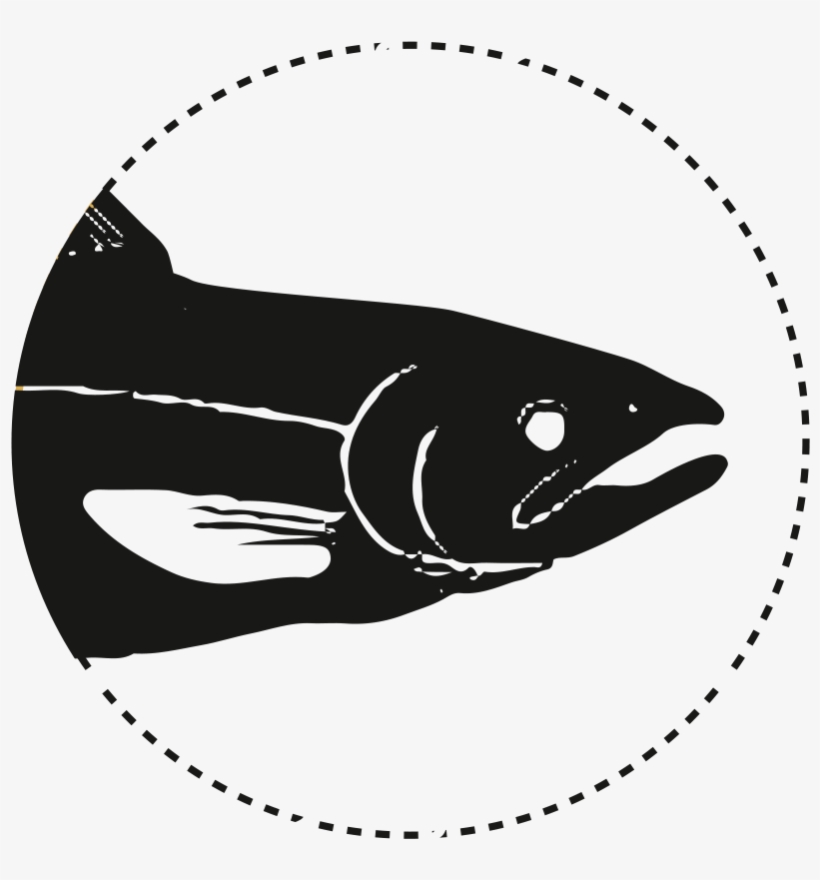 Salmon, transparent png #4917356
