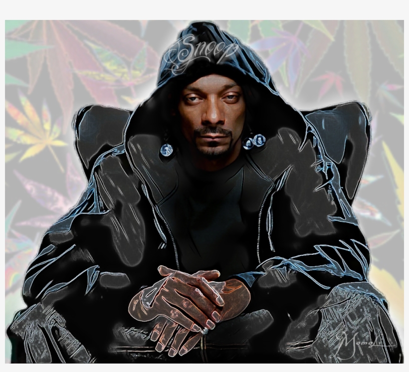 Coque Samsung Galaxy Tab 2 P3100 Snoop Dogg 2 - Housse, transparent png #4917724