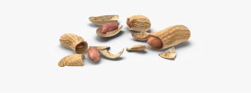 Peanut Download Png Image - Portable Network Graphics, transparent png #4921379