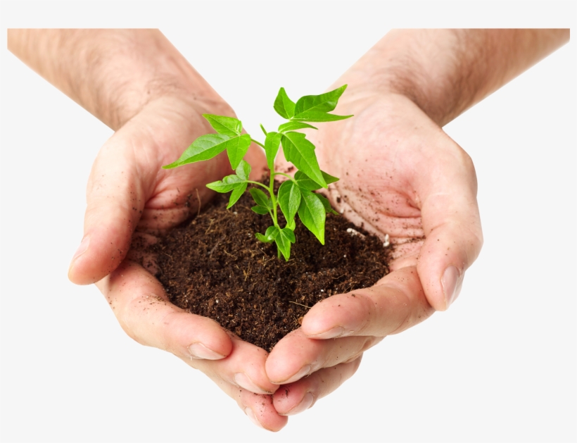 Picture Black And White Download In Png For Free Download - Plant In Hand Png, transparent png #4921973