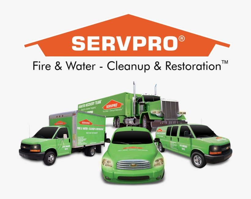 2451 Riley Road Sparta, Wi 54656 786-0387 Specializes - Servpro Logo, transparent png #4922031