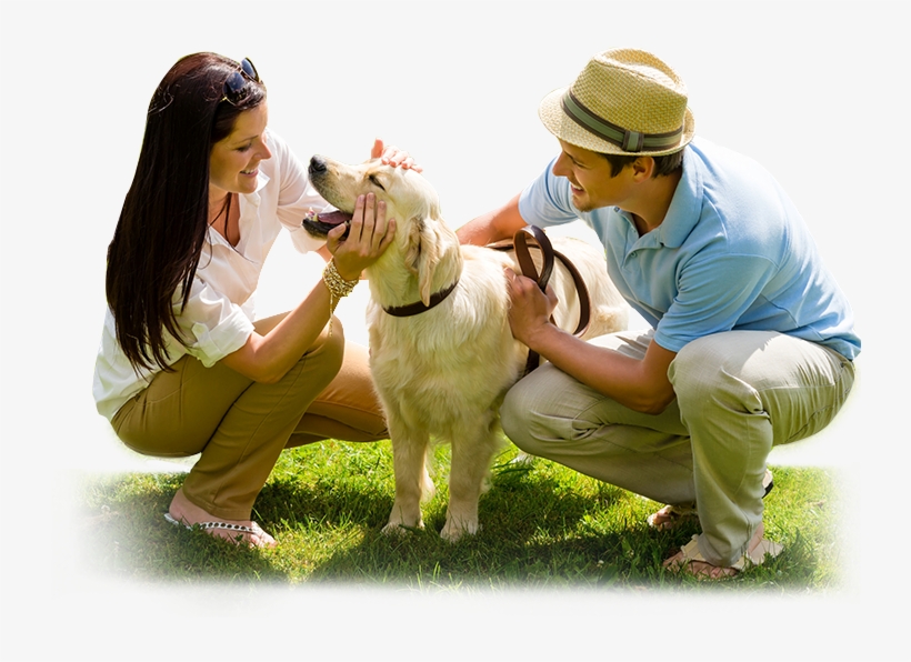 Be A Part - Dog Panting Huge Tongue, transparent png #4923667